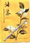 油茶 封面