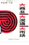 大商业  大流通  大市场 封面
