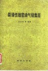 裂缝性致密油气储集层 封面