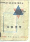 声波测井 测井分析家协会专题选辑