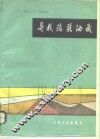 寻找隐蔽油藏 封面