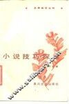 小说技巧探赏 电子书封面