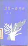送你一缕月光 封面