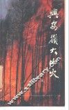 兴安岭大山火 封面