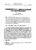 红细胞胞质因子对K562细胞分化及其核基质-中间纤维体系影响的研究 封面