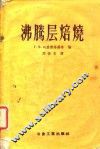 沸腾层焙烧 封面