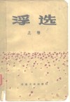 浮选 上 纪念A.M.高登文集 封面