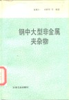 钢中大型非金属夹杂物 封面