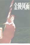 金陵风雨 封面