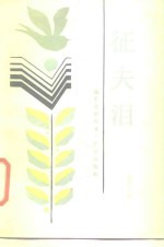 征夫泪 封面