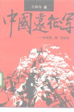 中国远征军  血战滇、缅、印纪实 封面