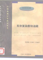 东辛复杂断块油藏 封面