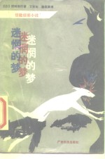 迷惘的梦 封面