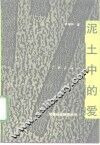 泥土中的爱 封面