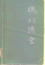 魂销骊宫 封面