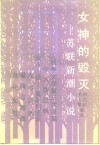 女神的毁灭  苏联新潮小说 封面