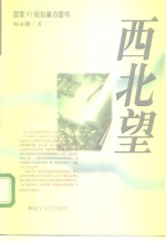 西北望 封面