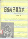 扫描电子显微术 封面