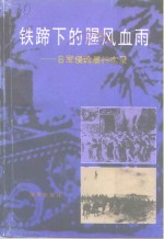 海南文史资料  第11辑  铁蹄下的腥风血雨 日军侵琼暴行实录  上 封面