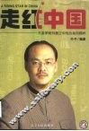 走红中国  形象策略师魏正和他的案例精粹 封面