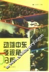 动荡中东多视角分析 封面