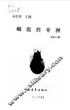 崛起的非洲 封面