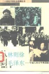 从林则徐到毛泽东  中国人的百年救国路 封面