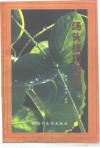 汤头技巧记忆 封面
