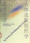 人体皮肤组织学彩色图谱 封面
