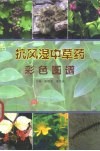 抗风湿中草药彩色图谱 封面