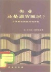 失业还是通货膨胀?  对菲利普斯曲线的评价 封面