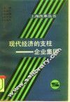 现代经济的支柱-企业集团 封面