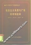 社会主义本质与广东所有制改革 封面