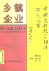 乡镇企业  现代化基点与主线 封面