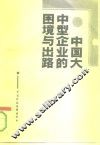 中国大中型企业的困境与出路 封面