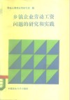 乡镇企业劳动工资问题的研究与实践 封面
