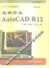 怎样开发AutoCAD R12 电子书封面