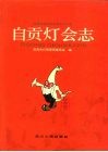 自贡灯会志 封面