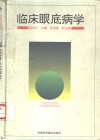 临床眼底病学 封面