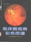 临床眼底病彩色图谱 封面