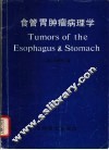 食管胃肿瘤病理学 电子书封面