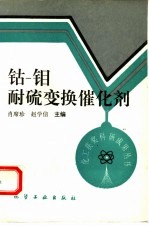 钴-钼耐硫变换催化剂 封面