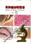 骨肿瘤诊断图谱 封面