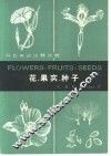 花果实种子 封面