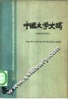 中国文学史稿  清及近代部分 封面