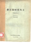 新石器时代考古  中国考古学之二 封面