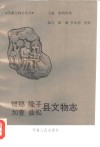 错那  隆子  加查  曲松县文物志 封面