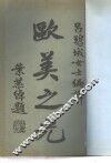 殴美之光 封面