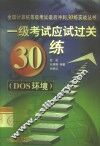 一级考试应试过关30练 DOS环境 封面