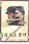 蔷薇花案件 封面